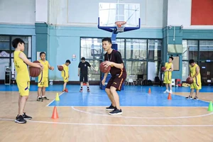  如何找到专业的篮球反应训练教练？全面指南与经验分享